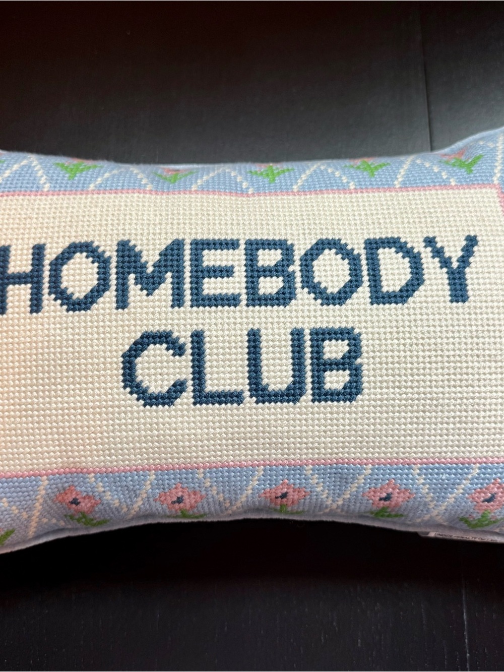 NEW needlepoint pillow “homebody club”